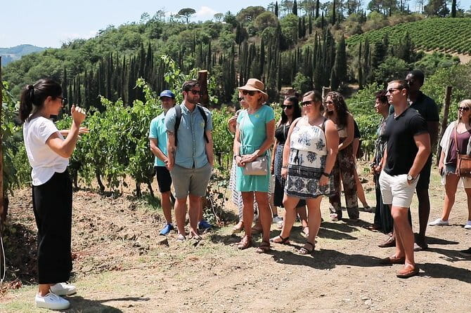 Chianti Wine Tour from Florence - From Piazzale Montelungo to the Via Chiantigiana Views