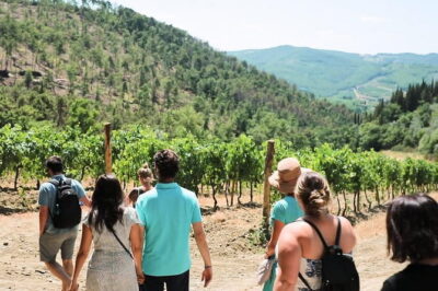 Chianti Wine Tour from Florence - Stop Two: Vineyard Slope Walk, Cellars, Aromatic Garden, and Multiple Tastings