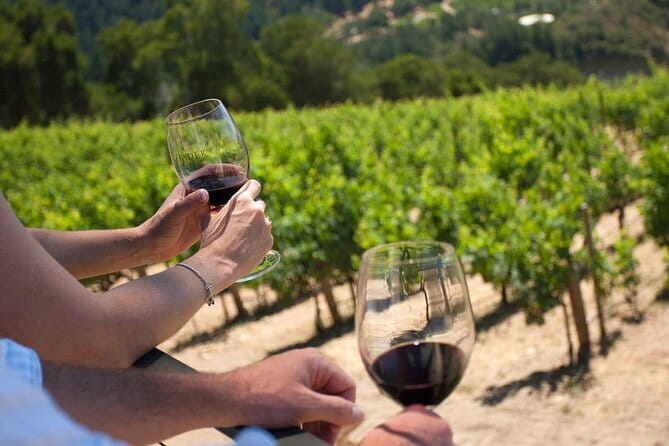 Chianti Wine Tour from Florence - Who Should Book This Chianti Tour (and Who Might Not Love It)