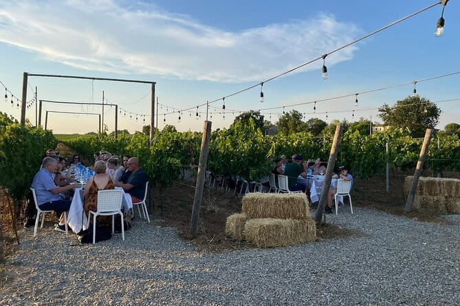 Chianti Wine Tour from Florence with Tastings - Getting to the meeting point: Villa Costanza Tram stop (and don’t cut it close)