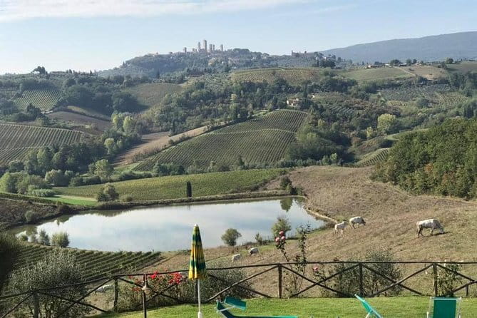 Chianti Wineries Tour with Tuscan Lunch and San Gimignano - San Gimignano With a Real Guide: Towers, Squares, and Panoramas