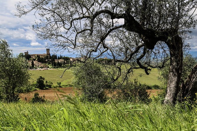 Chianti Wineries Tour with Tuscan Lunch and San Gimignano - Tips to Have a Better Day in Chianti and San Gimignano