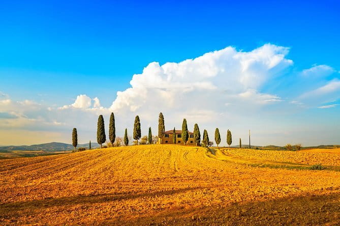 Cinque Terre and Pisa Full Day Tour from Florence - Monterosso al Mare: Beach Time, Pesto, and Choosing Your Pace