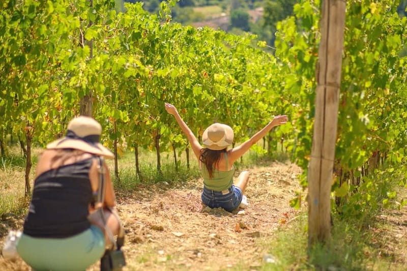 Florence: Chianti Wineries Tour with Wine Tasting - Key things to know before you go