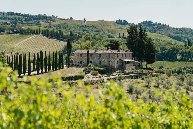 Florence: Chianti Wineries Tour with Wine Tasting - Getting to Chianti from Florence without renting a car