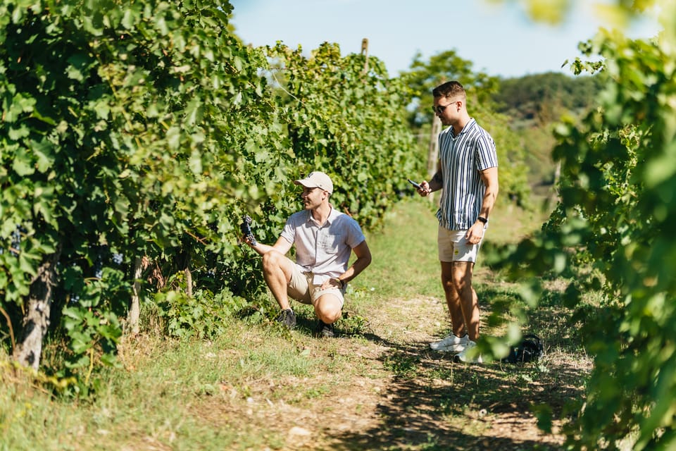 Florence: Chianti Wineries Tour with Wine Tasting - Value check: is $56.37 worth it for a half-day?