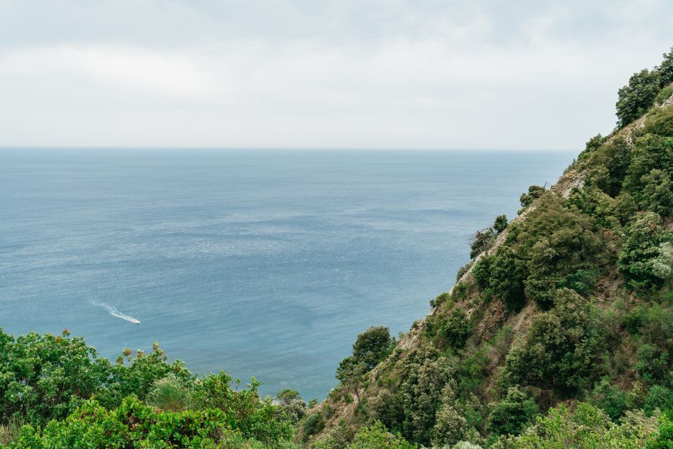 Florence: Cinque Terre Day Trip with Optional Hike - How Much Walking, Stairs, and Sun to Expect (and What to Pack)