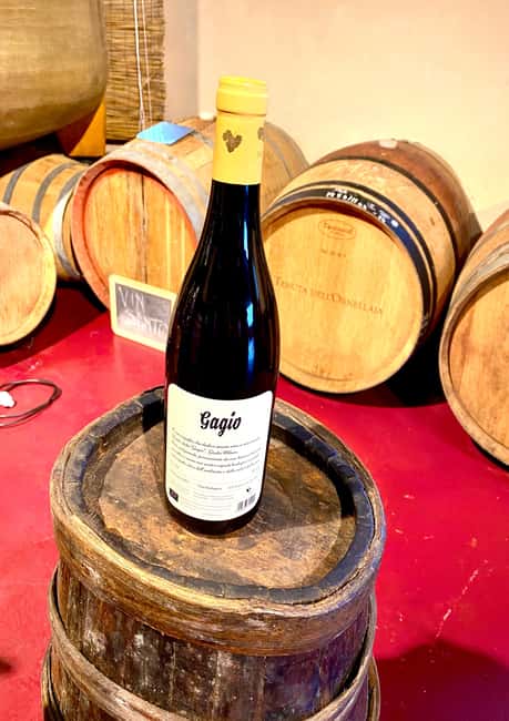 Florence: Countryside Tour with Wine Tasting & Pasta Class - Appetizers and pairing bites: how the tasting becomes a meal