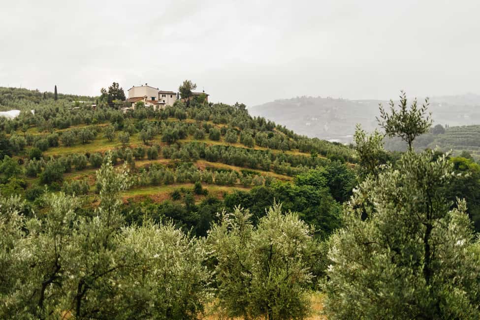 Florence: Countryside Vintage Fiat 500 Driving Tour - Why a vintage Fiat 500 works so well from Florence