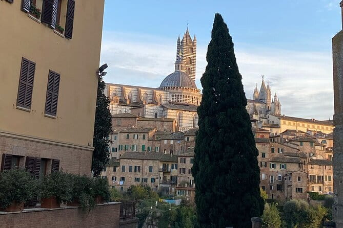 Florence: Day Trip with Free Time in San Gimignano and Siena - Tour leader support: how Sara and Alessandra-style guidance improves your day