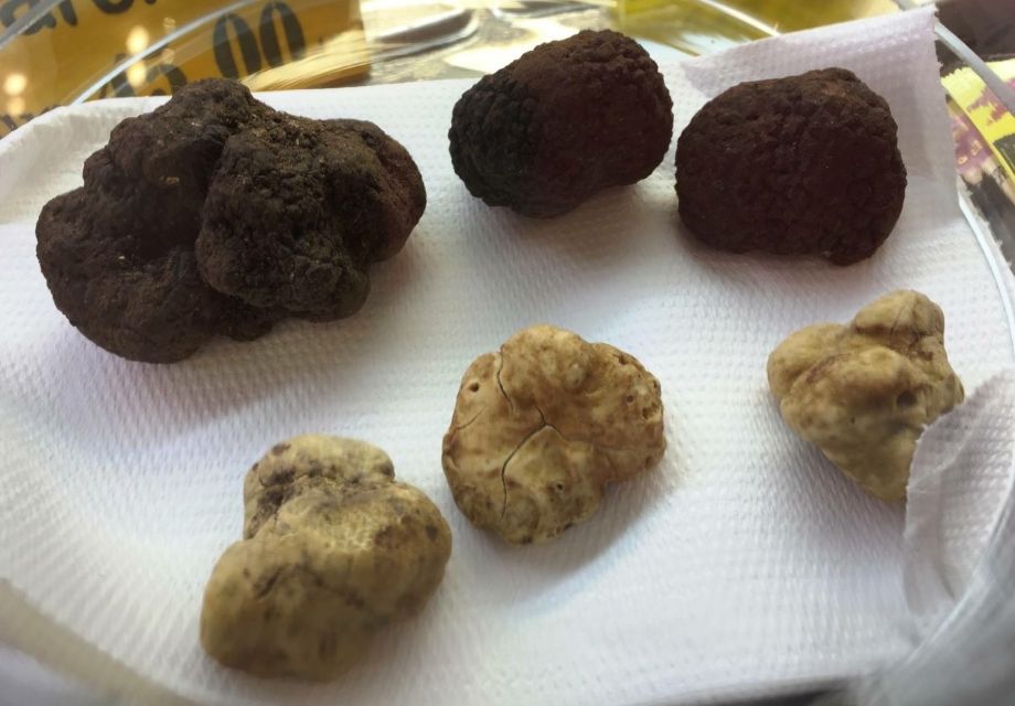 Florence: Guided Food Tour with Fiorentina Steak and Wine - Gelato at La Strega Nocciola: Dessert Without a Letdown