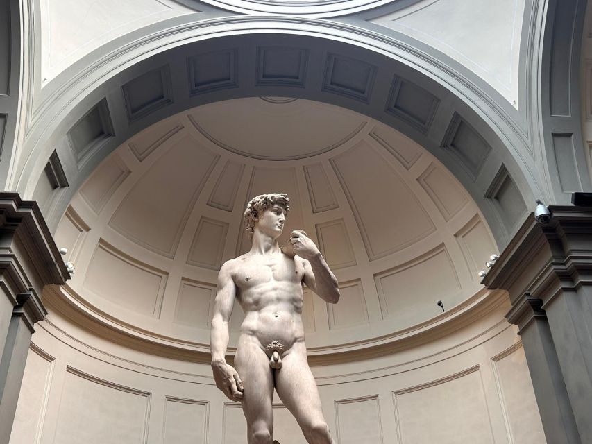 Florence: Michelangelo's David Entrance Ticket and Audio App - Timed Entry at the Accademia: What the Skip-the-Line Really Means