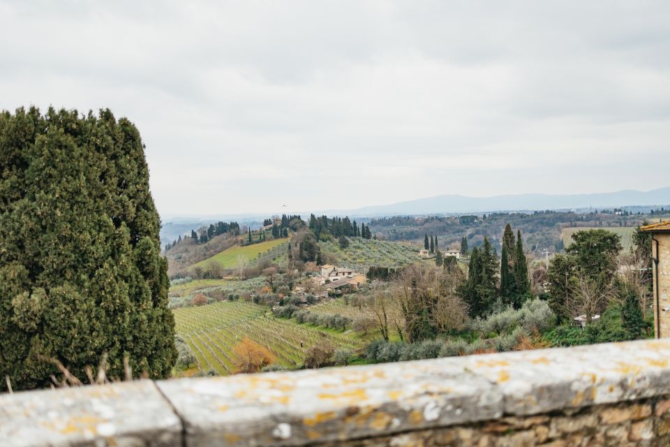 Florence: Pisa, Siena, San Gimignano, and Chianti Experience - Chianti Winery Lunch and Wine Tasting in the Hills