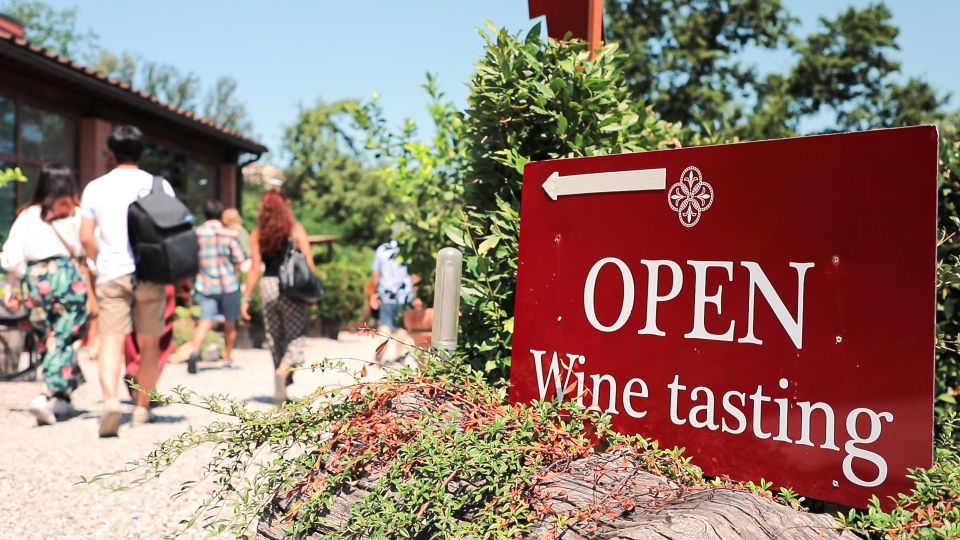 Florence: S. Gimignano, Siena, Chianti & Wine Tasting Lunch - Key points before you go