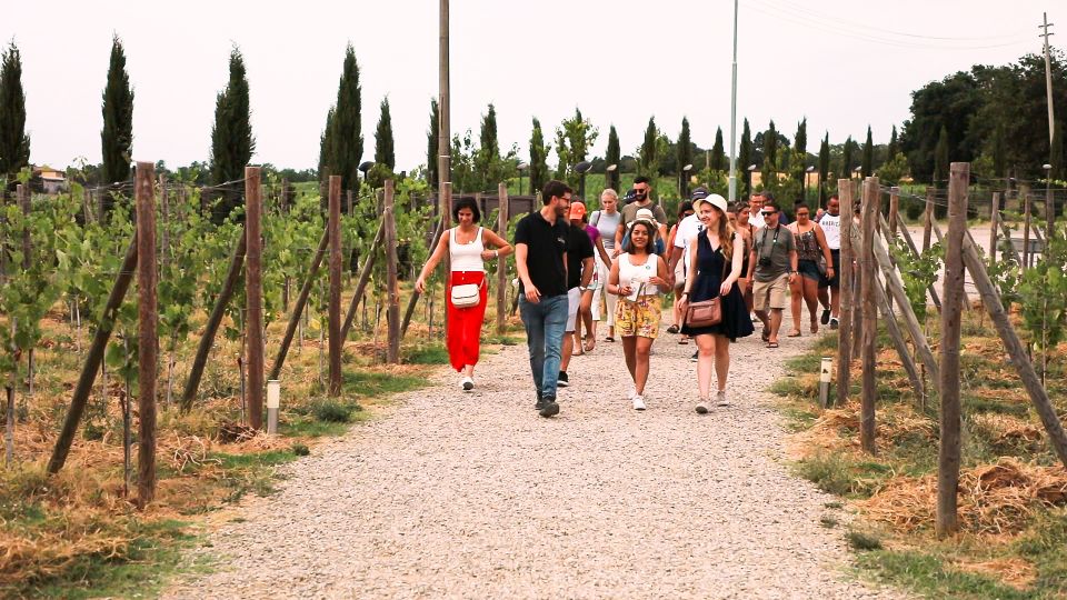 Florence: S. Gimignano, Siena, Chianti & Wine Tasting Lunch - Monteriggioni: a walled hamlet stop when it’s on the itinerary
