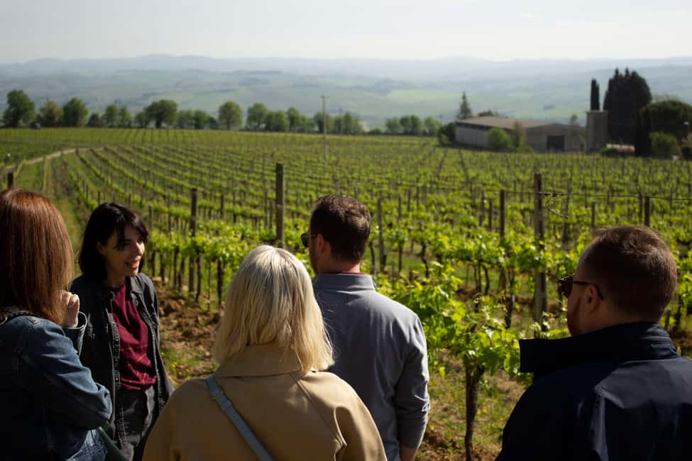 Florence: Valdorcia Wine, Brunello Montalcino, Montepulciano - Pienza Lunch and Pecorino Shopping: Where the Views Meet Real Food