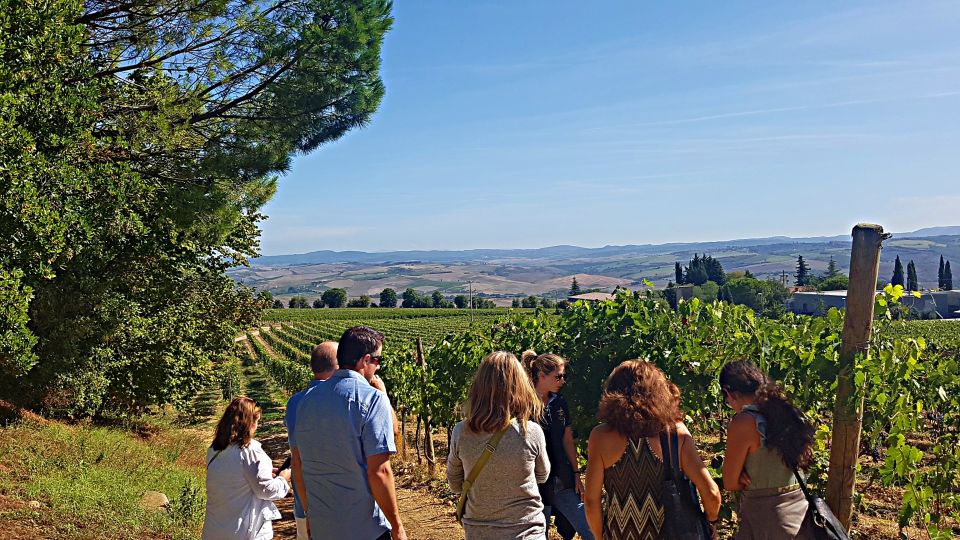 Florence: Valdorcia Wine, Brunello Montalcino, Montepulciano - Tips to Make Your Day Smooth (and Your Souvenirs Safer)
