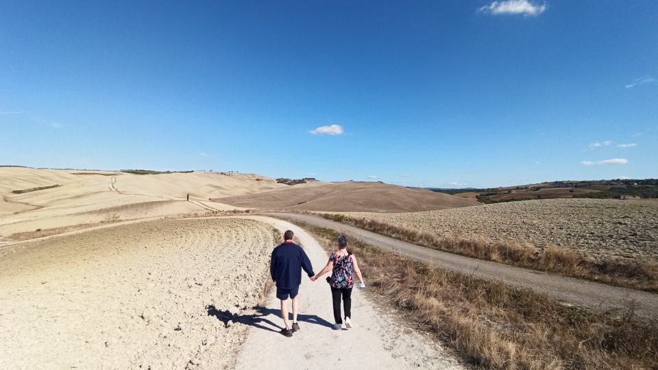 Florence: Valdorcia Wine, Brunello Montalcino, Montepulciano - Should You Book It?