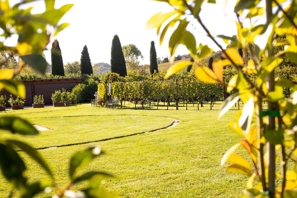 From Florence: Chianti Half-Day Afternoon Tour - Poggio ai Laghi cellar time: guided wine production and the food pairings