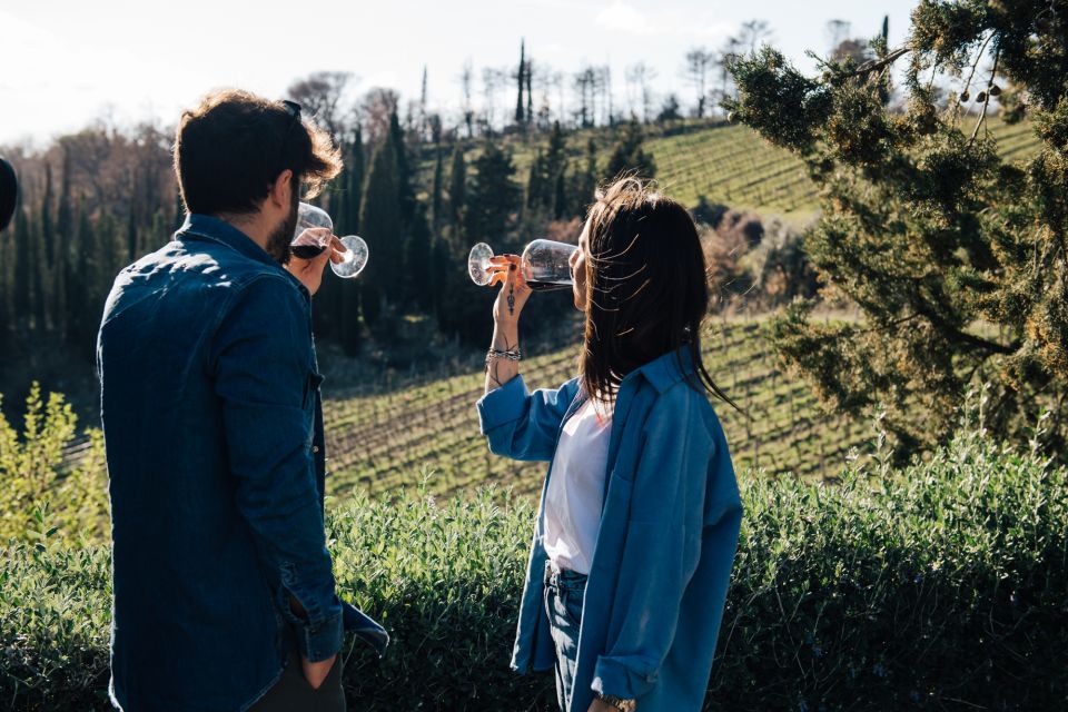 From Florence: Chianti Hills Half-Day Tour with Wine Tasting - Key things to look for before you go