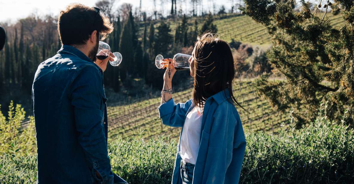 From Florence: Chianti Hills Half-Day Tour with Wine Tasting - Walking the vines: what the vineyard visit gives you