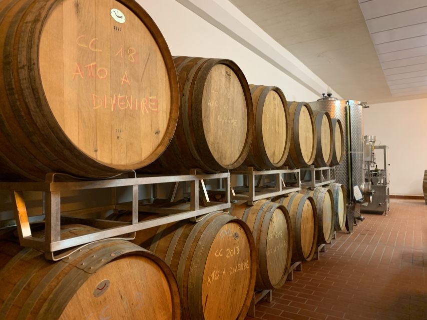 From Florence: Chianti Hills Half-Day Tour with Wine Tasting - Vinegar cellar stop: why balsamic and vin santo matter