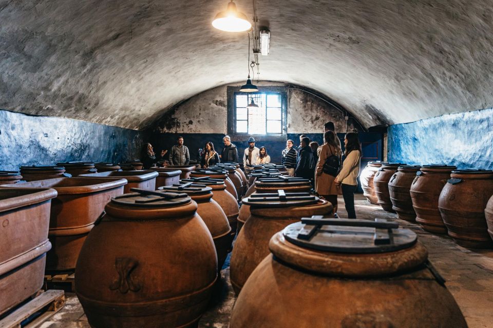From Florence: Chianti Wine and Food Tasting Safari - Key things to love about this Chianti Wine and Food Safari