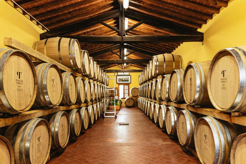 From Florence: Chianti Wine and Food Tasting Safari - How the tastings are built (and why the pairings help)