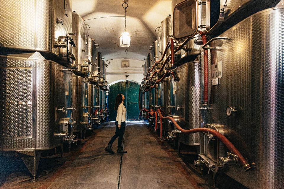 From Florence: Chianti Wine and Food Tasting Safari - Stop 2: Chianti Classico vineyards with tradition and modern thinking