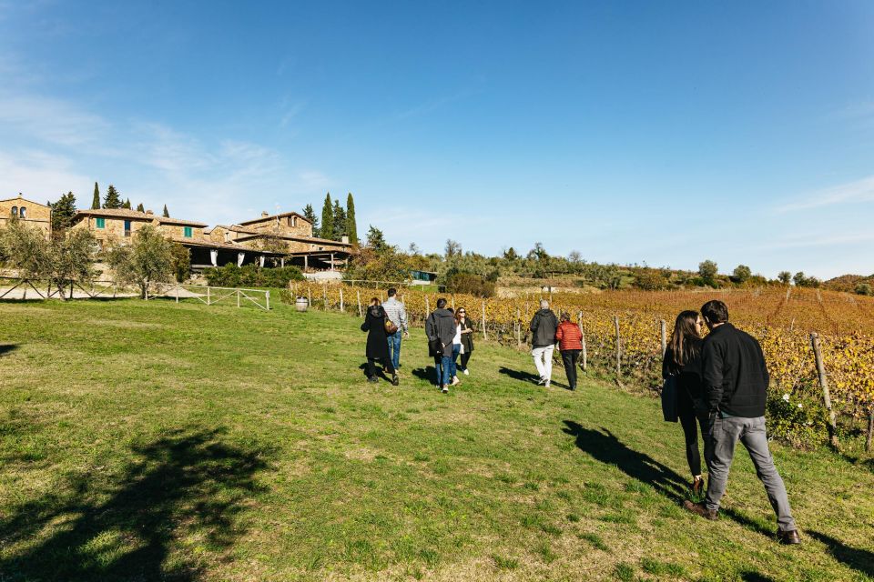 From Florence: Chianti Wine and Food Tasting Safari - Guides and drivers: the part that turns it from good to great