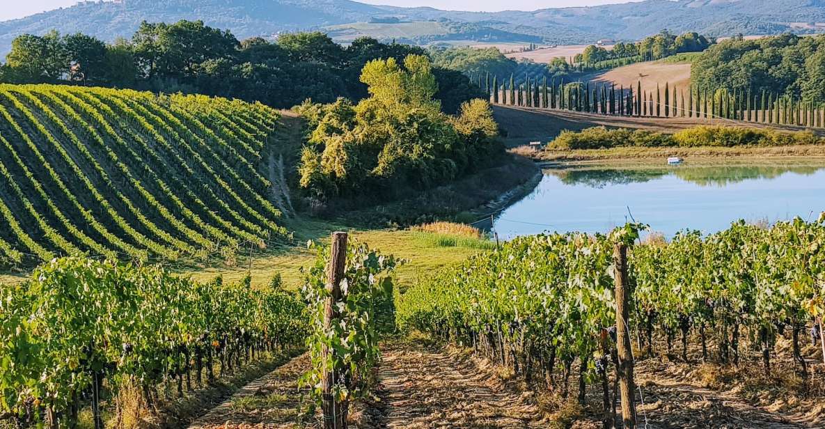 From Florence: Chianti Wine Tastings at Sunset Day Trip - Quick hits before you go
