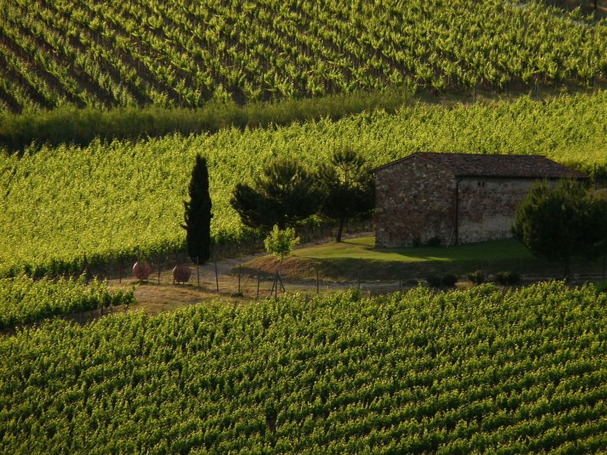 From Florence: Chianti Wine Tastings at Sunset Day Trip - Why Chianti at sunset beats another wine bar in Florence