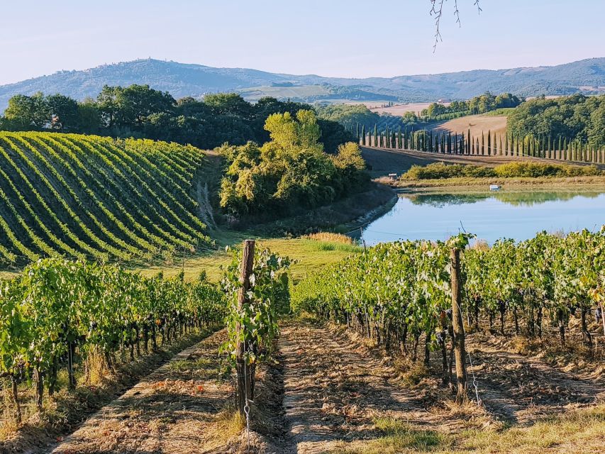 From Florence: Chianti Wine Tastings at Sunset Day Trip - Greve in Chianti: your quick photo stop that sets expectations