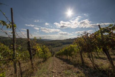 From Florence: Chianti Wine Tastings at Sunset Day Trip - Getting out of Florence in an air-conditioned minivan (and why it matters)