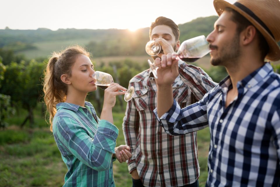 From Florence: Chianti Wine Tour with Tasting - Small Frustrations to Plan Around (So You Enjoy More)