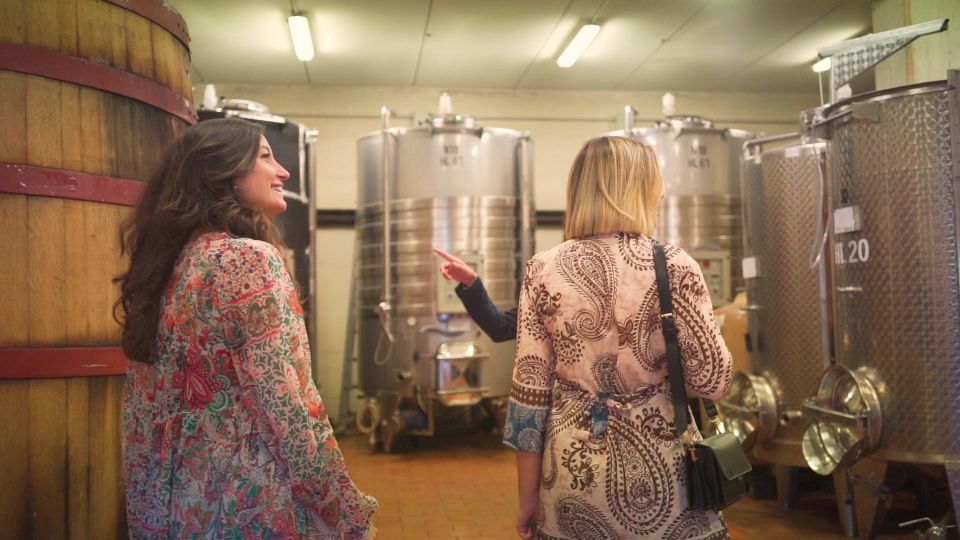 From Florence: Chianti Wine Tour with Tastings - Tips to get the most out of your Chianti day