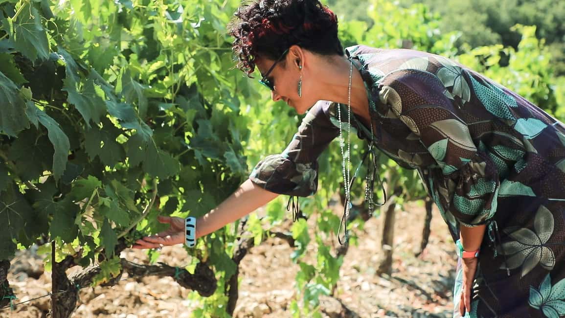 From Florence: Chianti Wine Tour with Tastings - Getting oriented: Montelungo meeting point and the coach ride