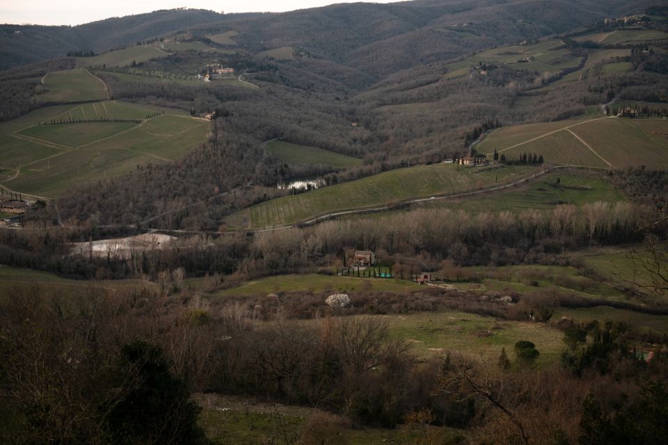 From Florence: Private Chianti Hills Tour with Tasting - Key highlights to know before you go