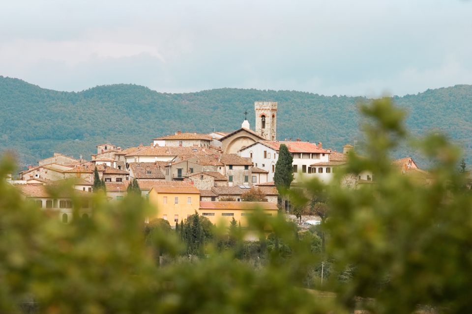 From Florence: Private Chianti Hills Tour with Tasting - Who this tour suits best