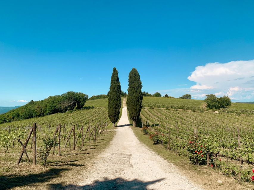From Florence: Private Chianti Hills Tour with Tasting - Winery stop #1: tasting in the hills with a real sense of place