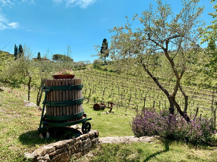 From Florence: Private Chianti Hills Tour with Tasting - Winery stop #2: the full tour + another 3-wine tasting with slow food