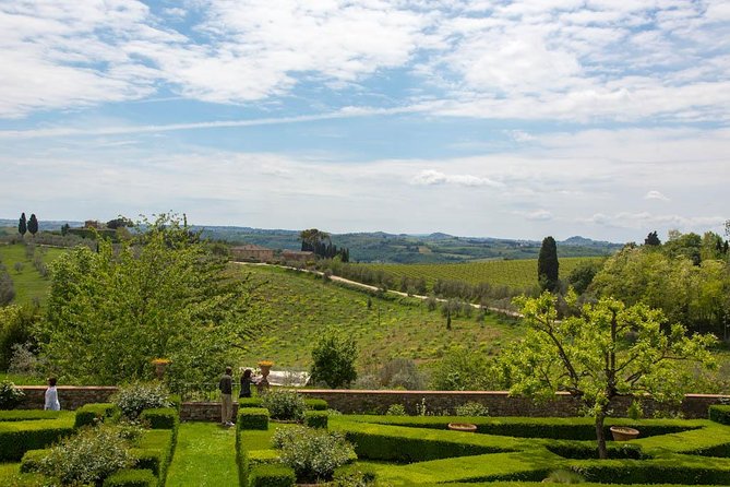 From Florence: Small-Group Tuscany Wine & Oil Tour with typical Tuscan Meal - Greve in Chianti: boutique winery tasting and the grapes behind the glass