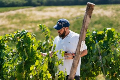 From Florence: Small Group Wine Tasting Tour to Tuscany - The two-estate format: why it beats the “one winery” tasting
