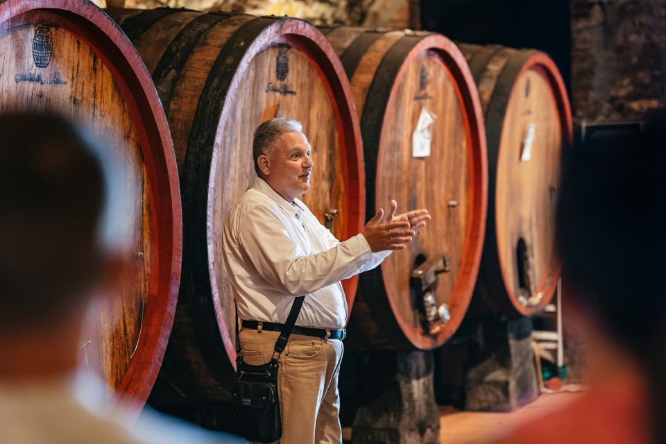 From Florence: Small Group Wine Tasting Tour to Tuscany - Group size and guide energy: why it feels personal