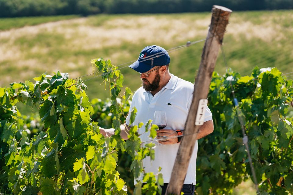 From Florence: Small Group Wine Tasting Tour to Tuscany - The two-estate format: why it beats the “one winery” tasting