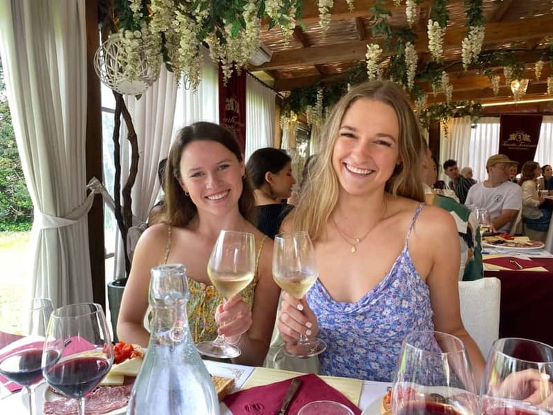 From Florence: Tuscany & San Gimignano Tour with 2 Tastings - What you actually taste: wines, olive oil, and balsamic pairings