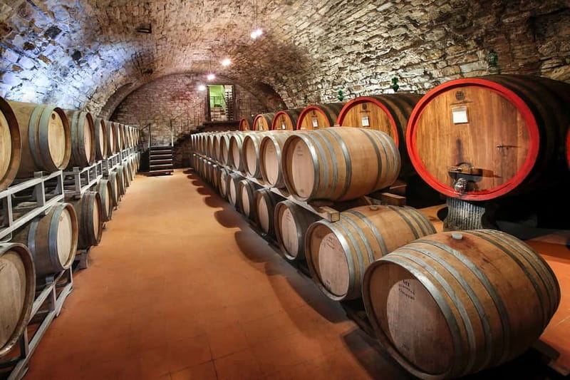 From Florence: Tuscany Wine & Food Tour with Guide - Stop 1: organic winery learning, farm-to-cellar perspective