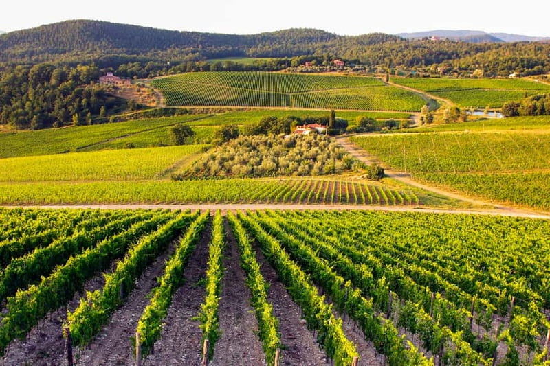 From Florence: Tuscany Wine & Food Tour with Guide - Stop 2: hilltop estate, wine expert stories, and lunch with paired wines