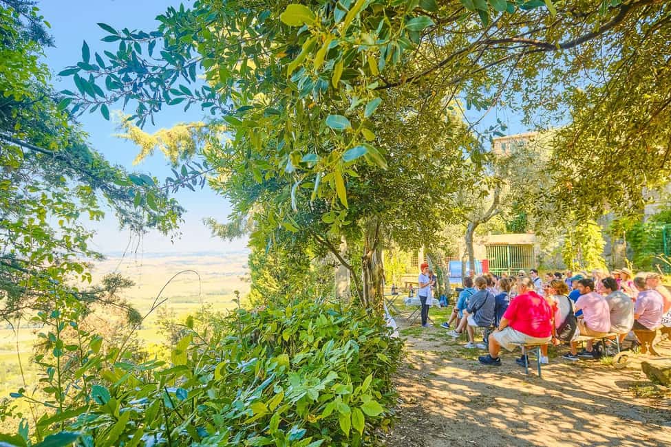 From Florence: Val D'Orcia Tour with Wine Tasting - Price and Value: Is $108 Worth It?