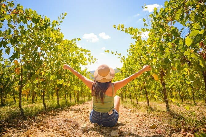 Half day Chianti Vineyard Escape from Florence with Wine Tastings - Stop One at the First Estate: Vineyards, Cellars, and the First Tastings